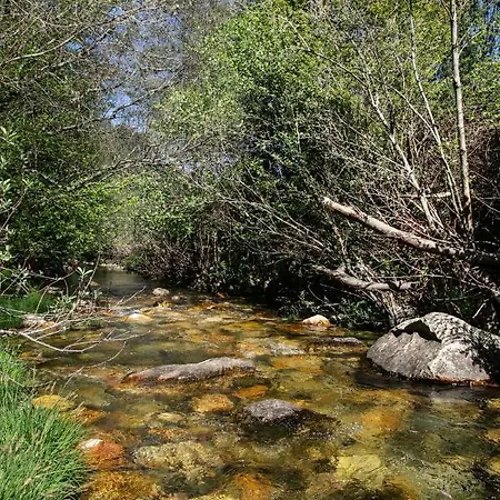 Lantställe Maria Da Vinha -