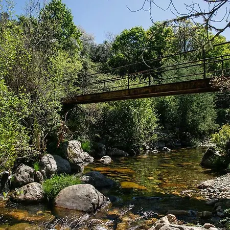 Lantställe Maria Da Vinha - *